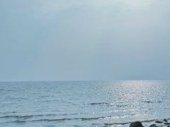 -深圳湾公园(南山区)