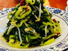 山野苦苦菜-国强手抓(西夏区店)