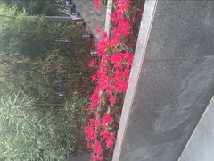 -北国之春国宴(乌兰察布店)