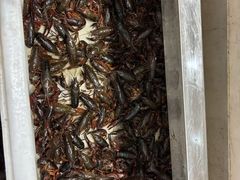 -菜哥龙虾•九江菜(七中店)