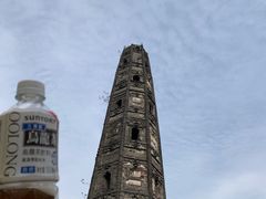 -上海佘山国家森林公园天马山园