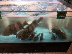 -海蓝海鲜馆(五四北店)
