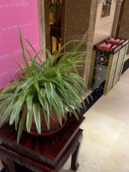 -北京俪婴妇产医院(朝阳大悦城店)