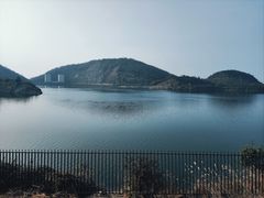 -长沙黑麋峰国家森林公园
