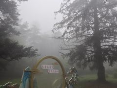 -庐山风景区花径公园