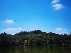 -深圳仙湖植物园