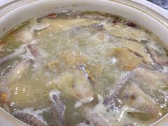 五指毛桃药膳鸽-鸽鸟轩(石岐店)
