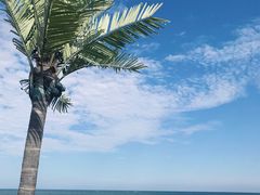 -日照灯塔风景区