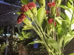 -春暖花开(西溪店)