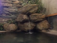 -安贞汤泉(安贞桥店)