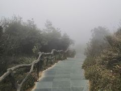 -梧桐山风景名胜区