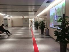 -河南省人民医院(院本部)