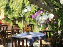 -Dash Teak House