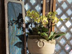 -蓝壁虎咖啡酒馆