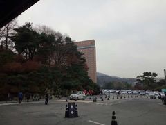 -新罗免税店(首尔总店)
