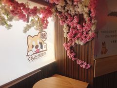 -柴源莊·柴小宠柴犬咖啡