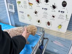 -瑞派·关忠动物医院·猫专科·犬专科(三环新城店)