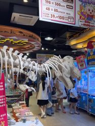 -卡通尼·Safari非洲探索乐园·生日会(金桥国际商业广场店)