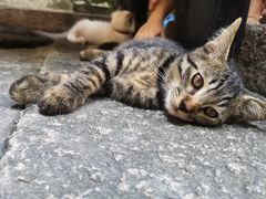 -老屋咖啡