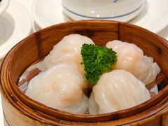 -老洋坊饭店(厚街东宝路店)