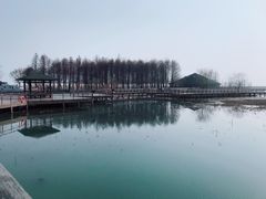 -太湖湖滨国家湿地公园-停车场