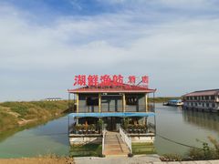 -泗洪洪泽湖湿地景区