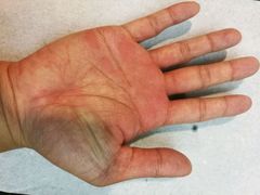 -香港皇家太平洋酒店