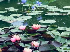 -国家植物园南园