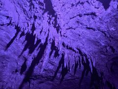 -地心探险极地