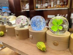 -二酉书店TOYOU BOOKS