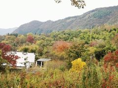 -塔川景区
