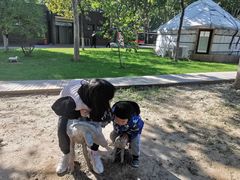 -九十九顶毡房(阜石路店)