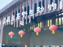 -青藏高原野生动物园