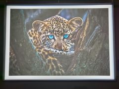 -罗红摄影艺术馆