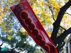 -和禄德冰糖葫芦