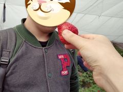 -小鱼草莓采摘园农家乐·小鱼餐厅