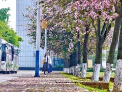 -广西师范大学(育才校区)
