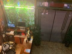 -盤古Spa泰式古法抓龙筋(鲁迅路店)