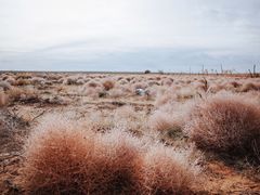-银肯塔拉沙漠生态旅游景区