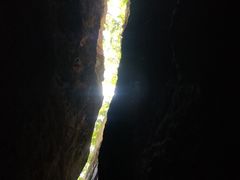 -武陵山森林公园