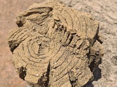 -盘龙城国家考古遗址公园