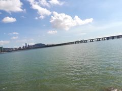 -宝安西湾红树林湿地公园