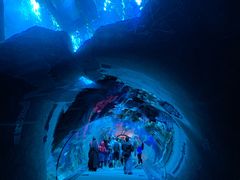 -迪拜水族馆及水下动物园