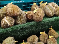 -曼阁市场水果批发市场