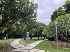 -深圳人才公园