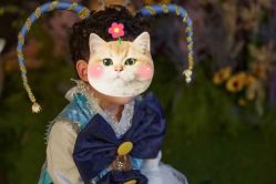 -阳光贝贝家庭影像馆