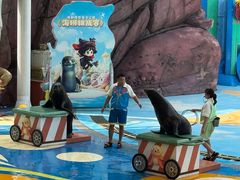 -海合安成都极地海洋公园