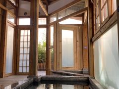 -成都蓝城悦杏温泉美食酒店(宽窄巷子店)