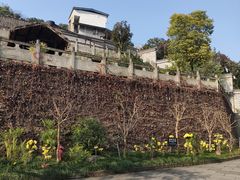 -燊海井