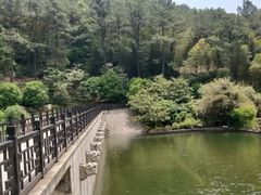 -九龙潭景区